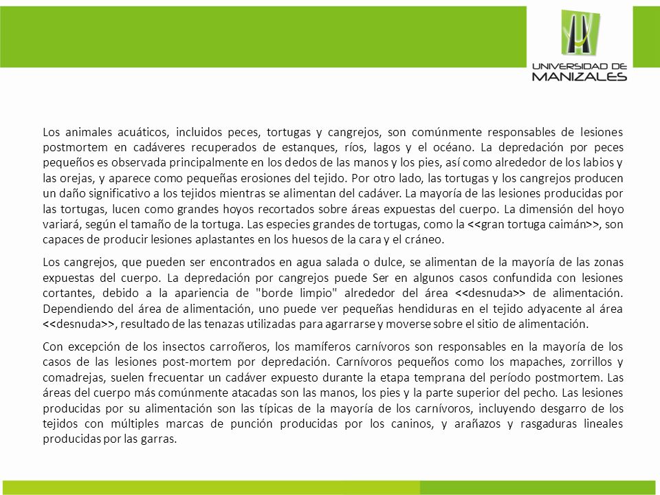 Los animales acuáticos, incluidos peces, tortugas y cangrejos, son comúnmente responsables de lesiones postmortem en cadáveres recuperados de estanques, ríos, lagos y el océano.