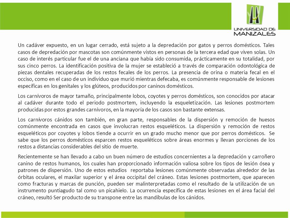 Un cadáver expuesto, en un lugar cerrado, está sujeto a la depredación por gatos y perros domésticos.