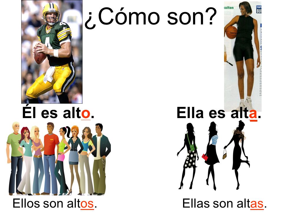 ¿Cómo son Él es alto. Ella es alta. Ellos son altos. Ellas son altas.