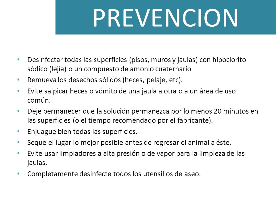 PREVENCION Desinfectar todas las superficies (pisos, muros y jaulas) con hipoclorito sódico (lejía) o un compuesto de amonio cuaternario.