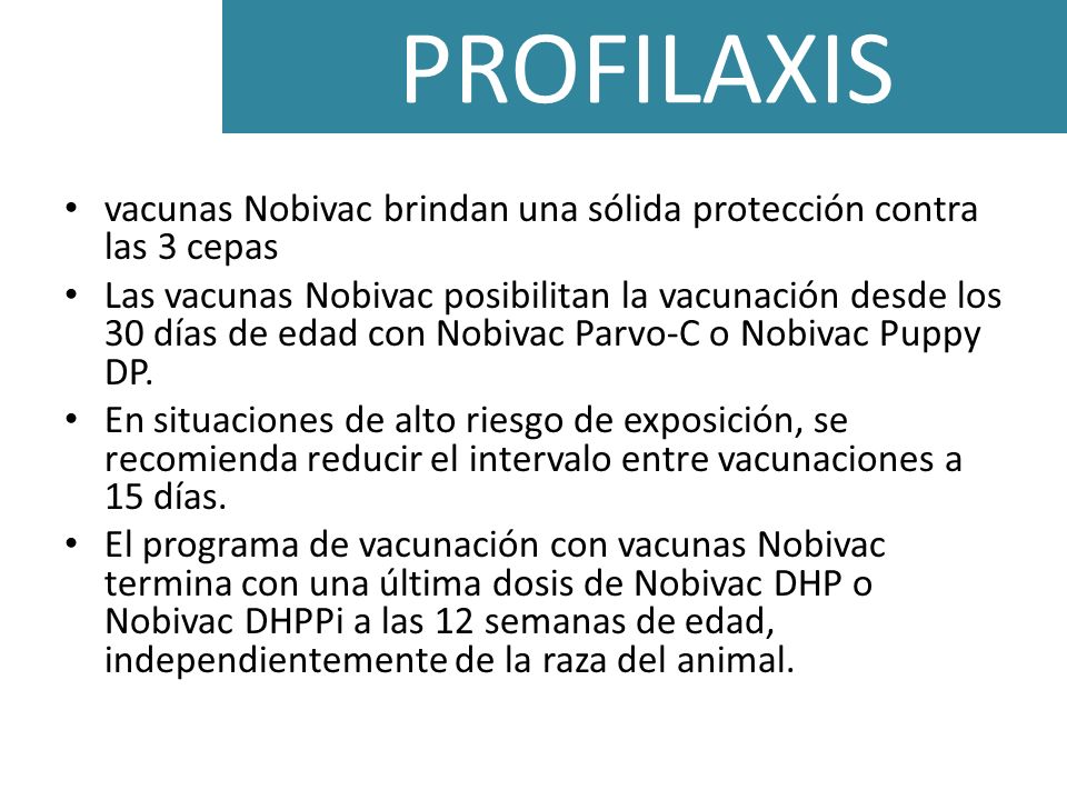 PROFILAXIS vacunas Nobivac brindan una sólida protección contra las 3 cepas.