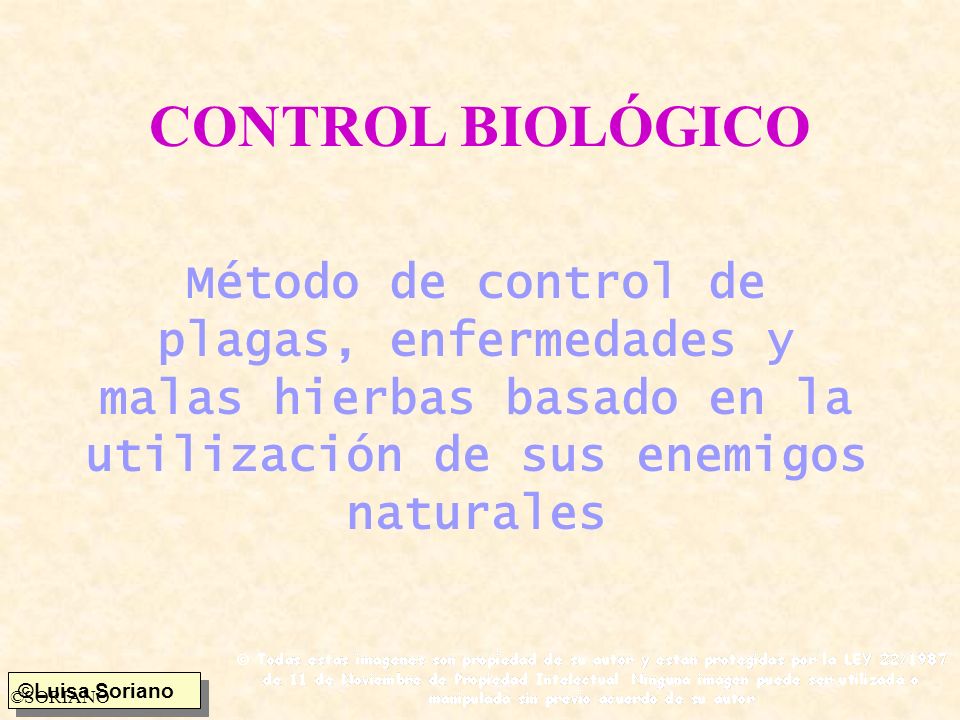 CONTROL BIOLÓGICO Método de control de plagas, enfermedades y malas hierbas basado en la utilización de sus enemigos naturales.