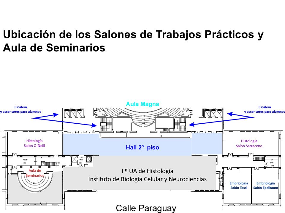 Ubicación de los Salones de Trabajos Prácticos y Aula de Seminarios