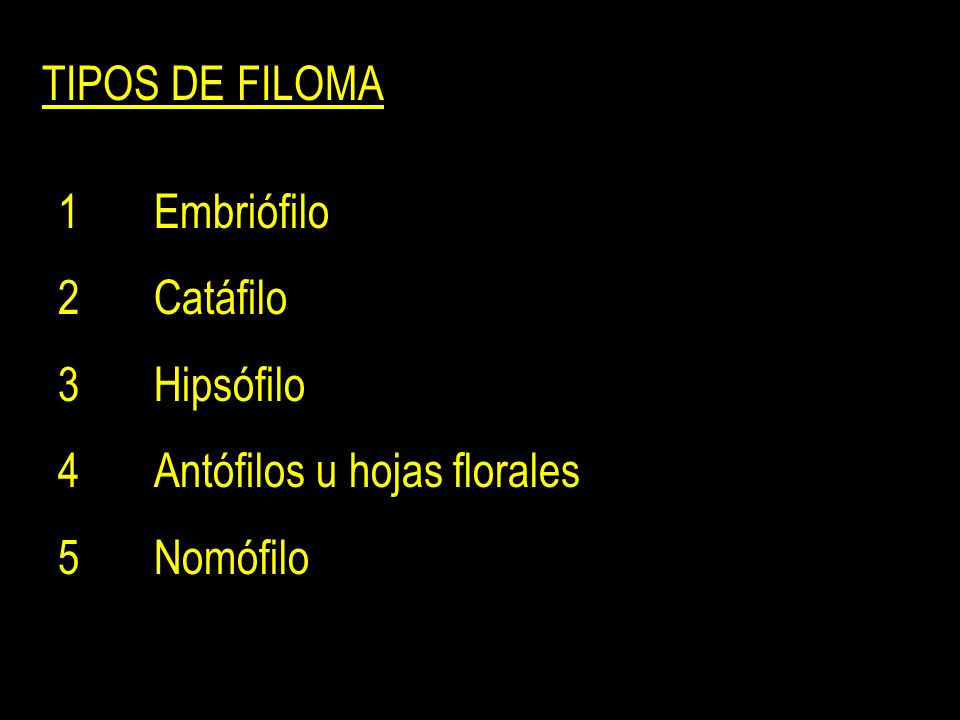 TIPOS DE FILOMA 1 Embriófilo 2 Catáfilo 3 Hipsófilo 4 Antófilos u hojas florales 5 Nomófilo