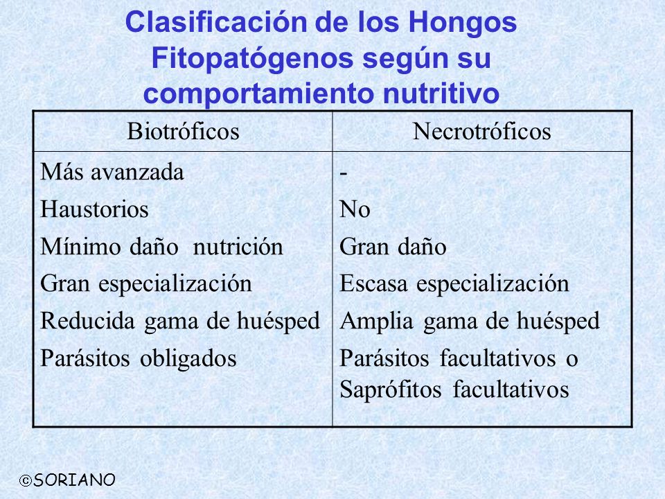 Clasificación de los Hongos Fitopatógenos según su comportamiento nutritivo