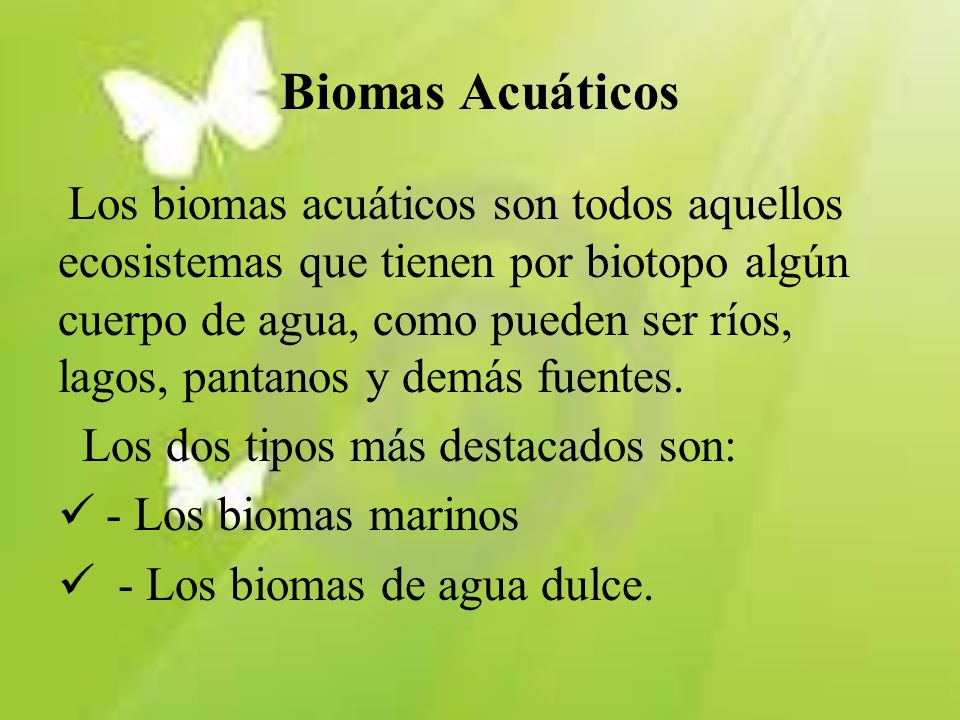 Biomas Acuáticos Los dos tipos más destacados son: