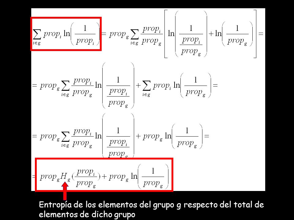 Entropía de los elementos del grupo g respecto del total de elementos de dicho grupo