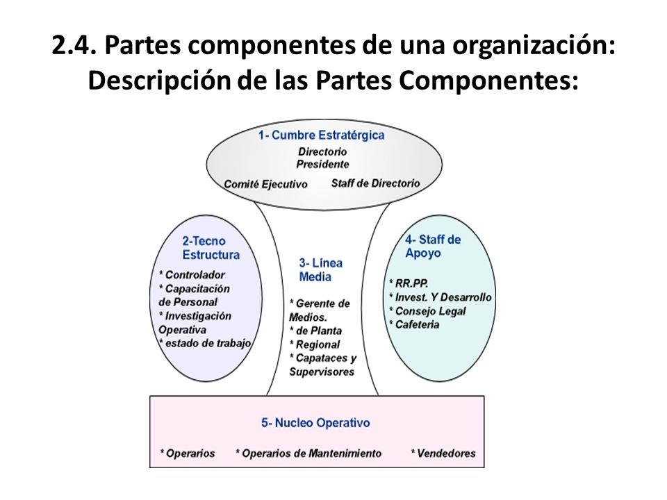 2.4. Partes componentes de una organización: Descripción de las Partes Componentes: