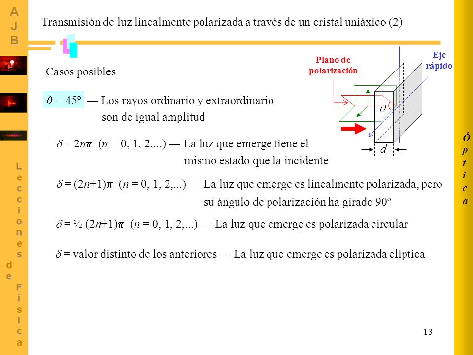  = 45º  Los rayos ordinario y extraordinario son de igual amplitud