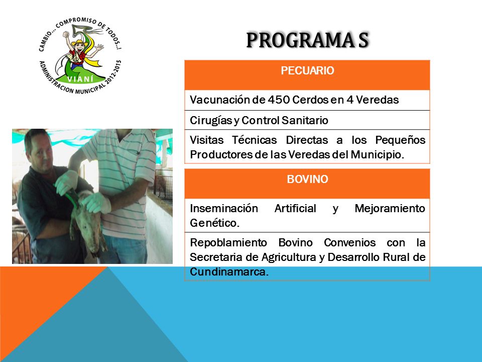 PROGRAMA S PECUARIO Vacunación de 450 Cerdos en 4 Veredas