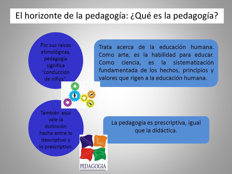 El horizonte de la pedagogía: ¿Qué es la pedagogía