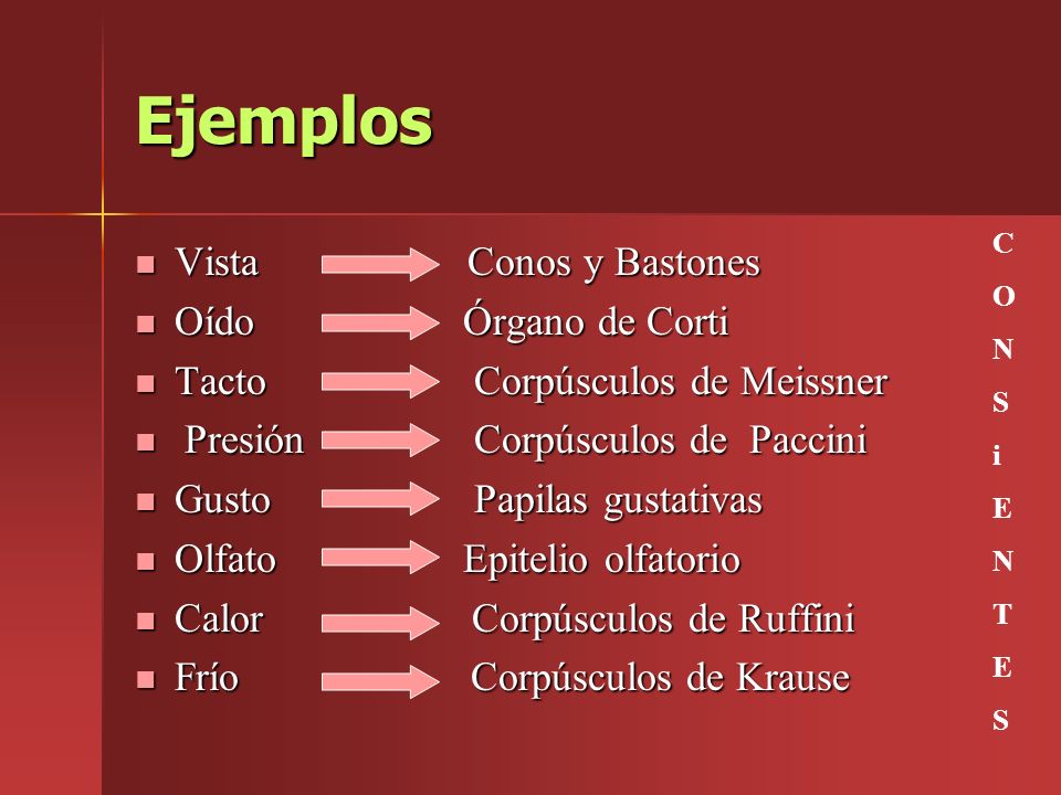 Ejemplos Vista Conos y Bastones Oído Órgano de Corti
