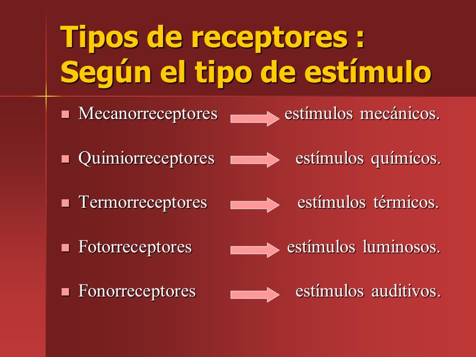 Tipos de receptores : Según el tipo de estímulo