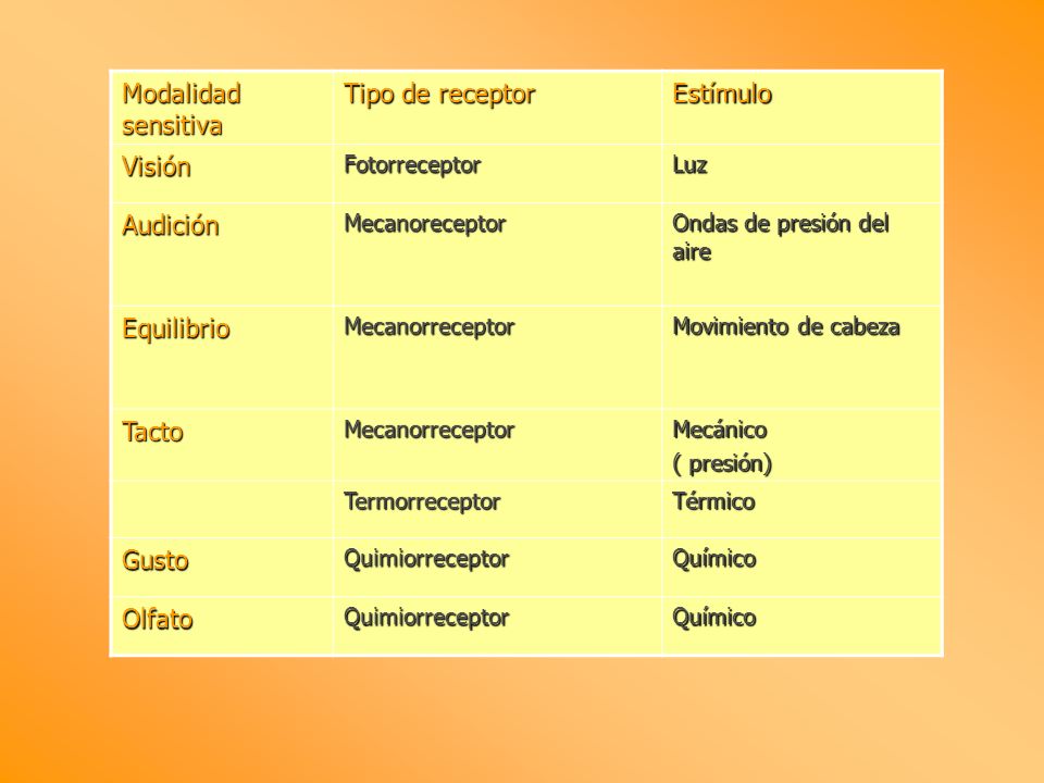 Modalidad sensitiva Tipo de receptor Estímulo Visión Audición