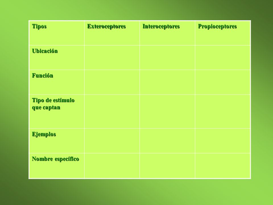 Tipos Exteroceptores. Interoceptores. Propioceptores. Ubicación. Función. Tipo de estímulo que captan.
