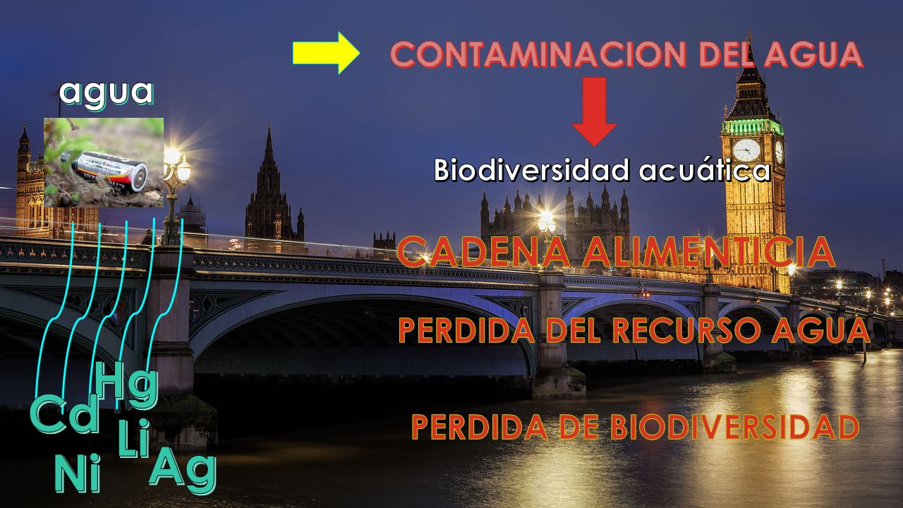 Hg Cd Li Ag Ni CADENA ALIMENTICIA agua CONTAMINACION DEL AGUA