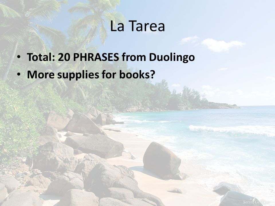La Tarea Total: 20 PHRASES from Duolingo More supplies for books