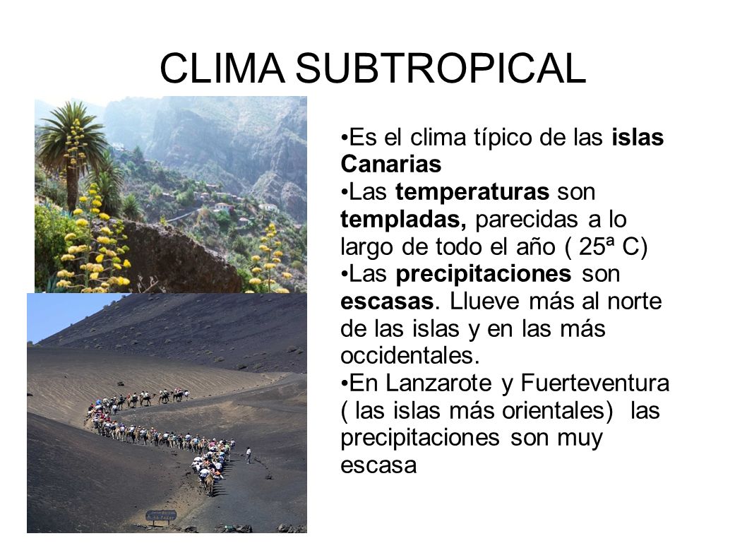 CLIMA SUBTROPICAL Es el clima típico de las islas Canarias