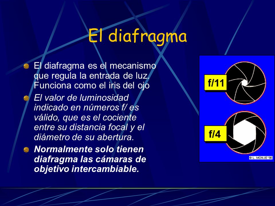 El diafragma El diafragma es el mecanismo que regula la entrada de luz. Funciona como el iris del ojo.