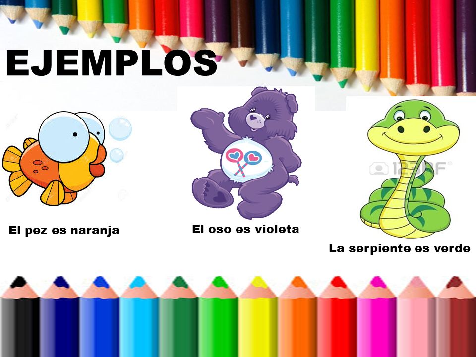 EJEMPLOS El pez es naranja El oso es violeta La serpiente es verde