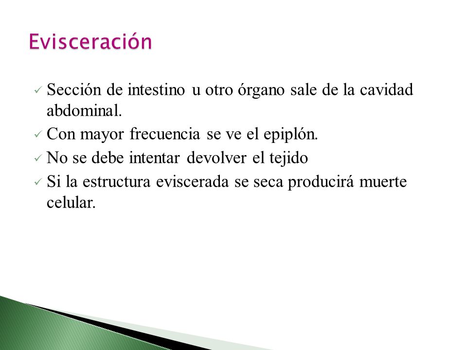 Evisceración Sección de intestino u otro órgano sale de la cavidad abdominal. Con mayor frecuencia se ve el epiplón.