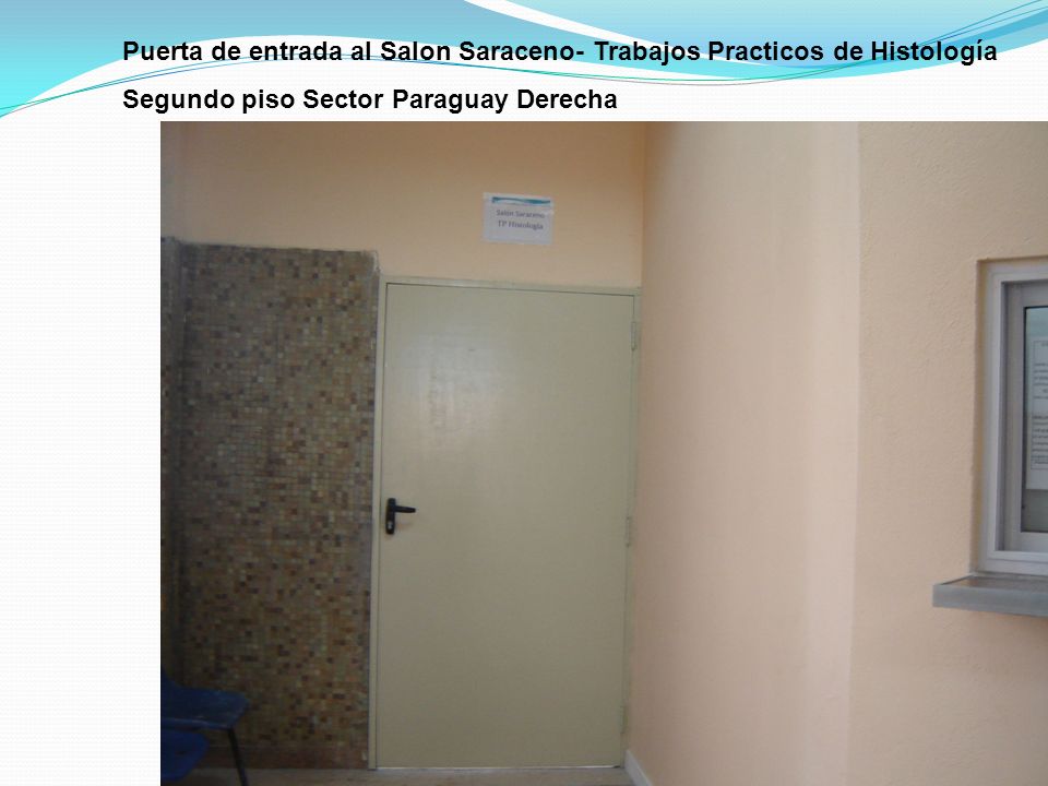 Puerta de entrada al Salon Saraceno- Trabajos Practicos de Histología