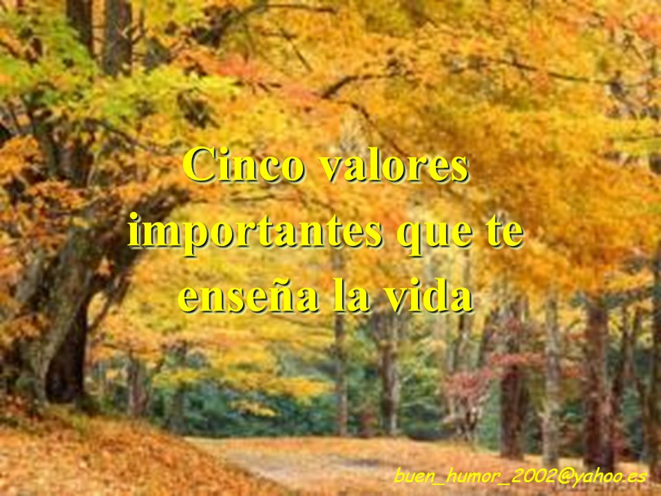 Cinco valores importantes que te enseña la vida