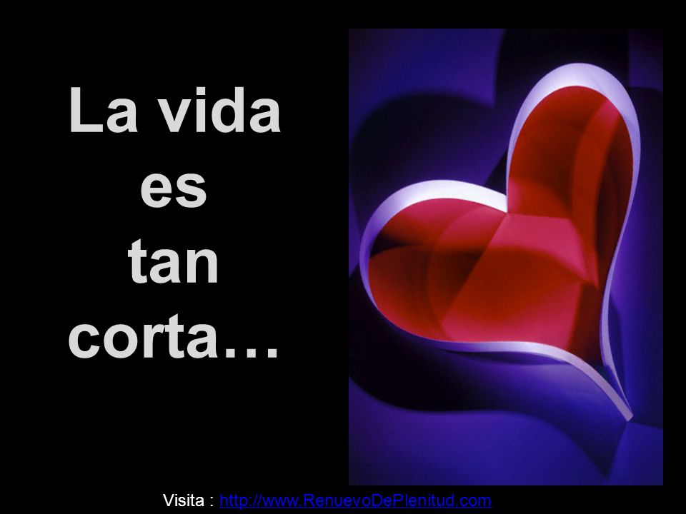 La vida es tan corta… Visita :