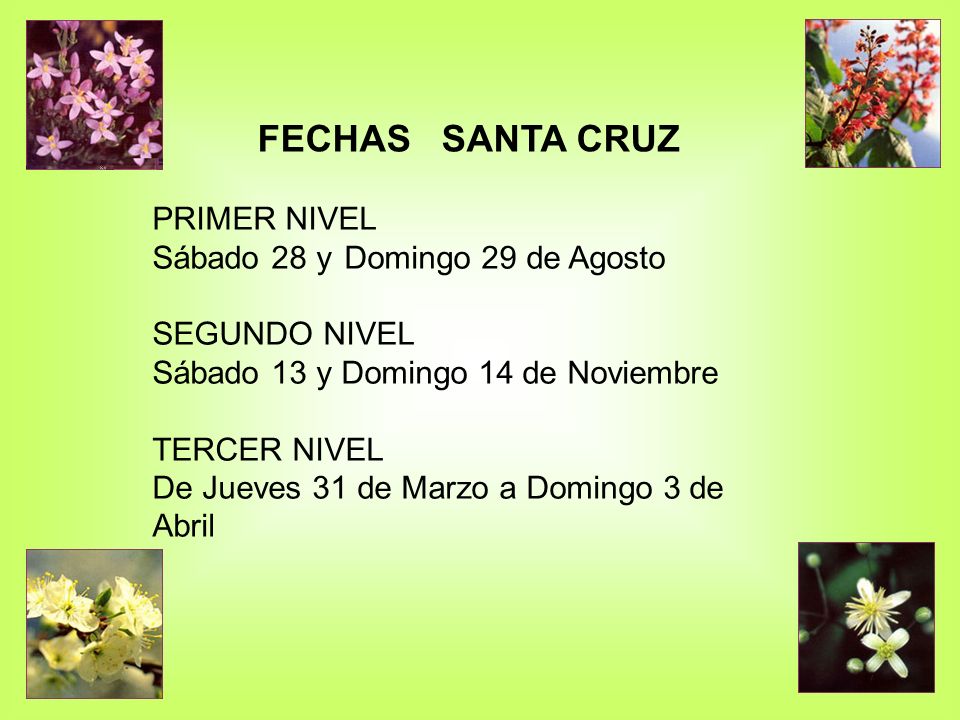 FECHAS SANTA CRUZ PRIMER NIVEL Sábado 28 y Domingo 29 de Agosto