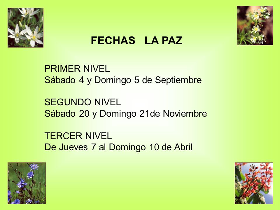 FECHAS LA PAZ PRIMER NIVEL Sábado 4 y Domingo 5 de Septiembre