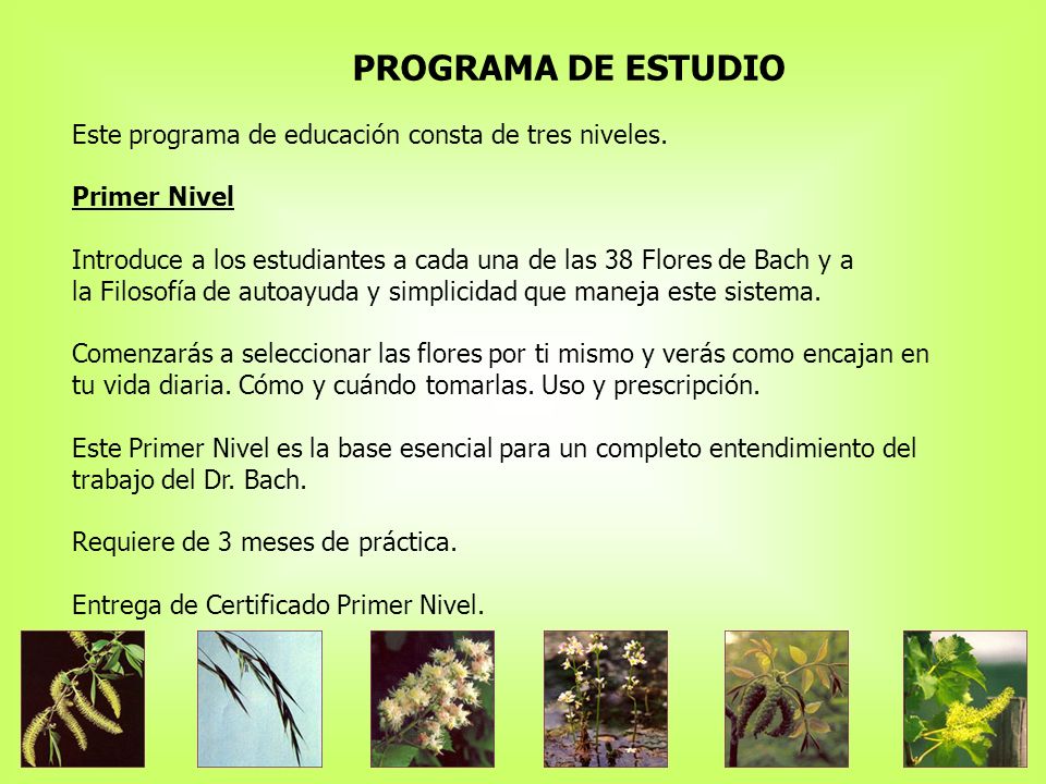 PROGRAMA DE ESTUDIO Este programa de educación consta de tres niveles.