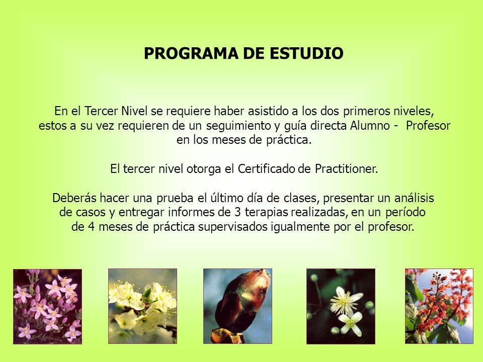 PROGRAMA DE ESTUDIO En el Tercer Nivel se requiere haber asistido a los dos primeros niveles,