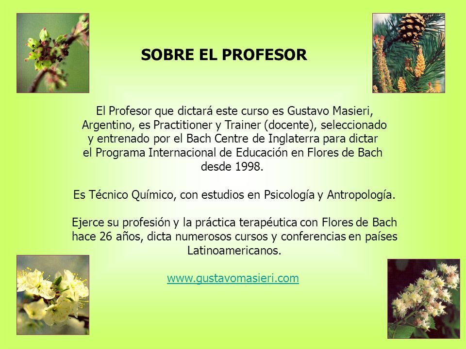 SOBRE EL PROFESOR El Profesor que dictará este curso es Gustavo Masieri, Argentino, es Practitioner y Trainer (docente), seleccionado.