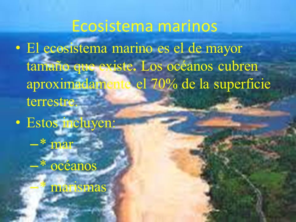 Ecosistema marinos El ecosistema marino es el de mayor tamaño que existe. Los océanos cubren aproximadamente el 70% de la superficie terrestre.