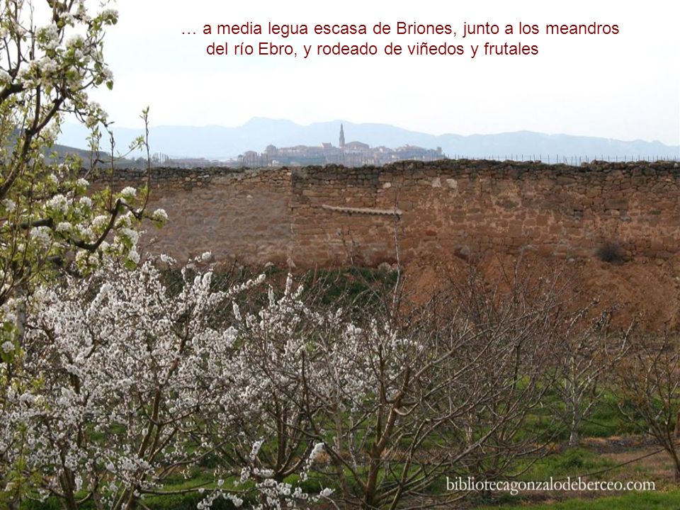 … a media legua escasa de Briones, junto a los meandros del río Ebro, y rodeado de viñedos y frutales