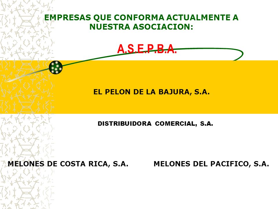 EMPRESAS QUE CONFORMA ACTUALMENTE A NUESTRA ASOCIACION:
