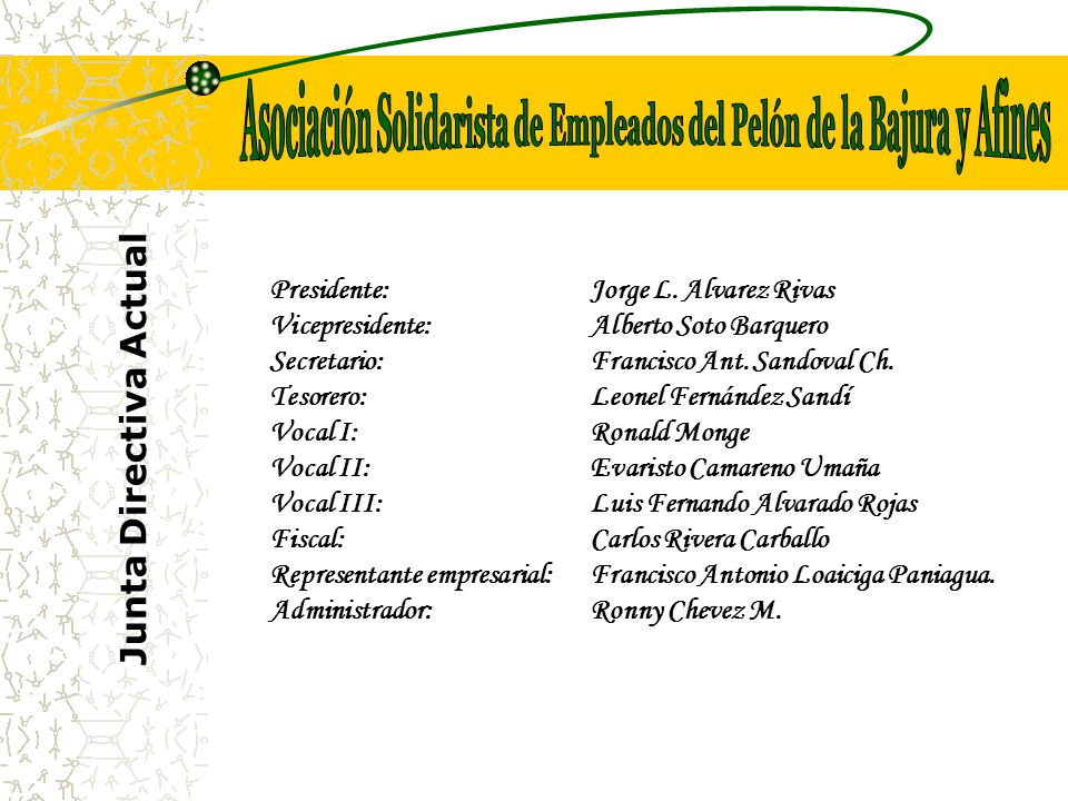 Asociación Solidarista de Empleados del Pelón de la Bajura y Afines
