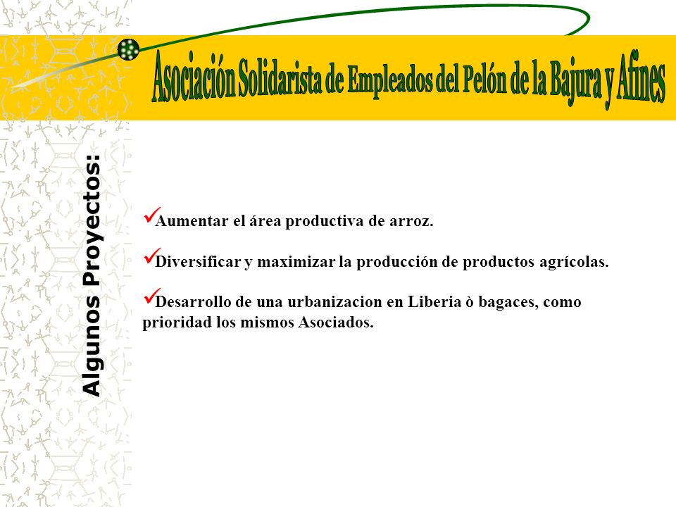 Asociación Solidarista de Empleados del Pelón de la Bajura y Afines