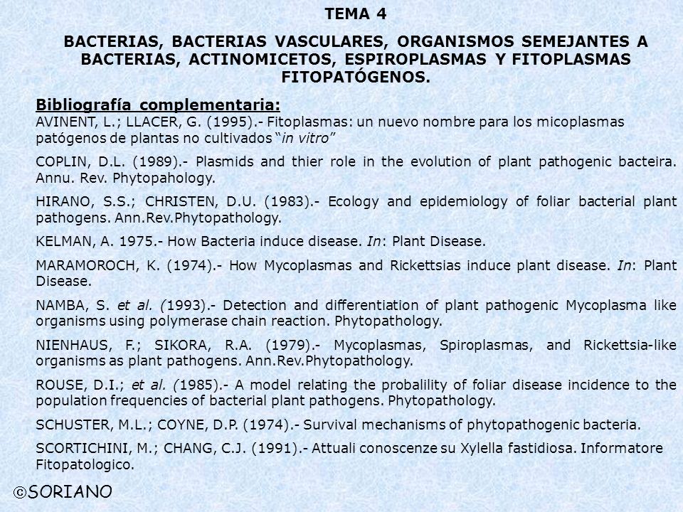 TEMA 4 BACTERIAS, BACTERIAS VASCULARES, ORGANISMOS SEMEJANTES A BACTERIAS, ACTINOMICETOS, ESPIROPLASMAS Y FITOPLASMAS FITOPATÓGENOS.
