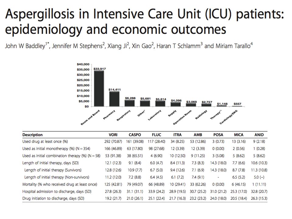 Economic burden of Aspergillus infection and main drugs used to treat it.