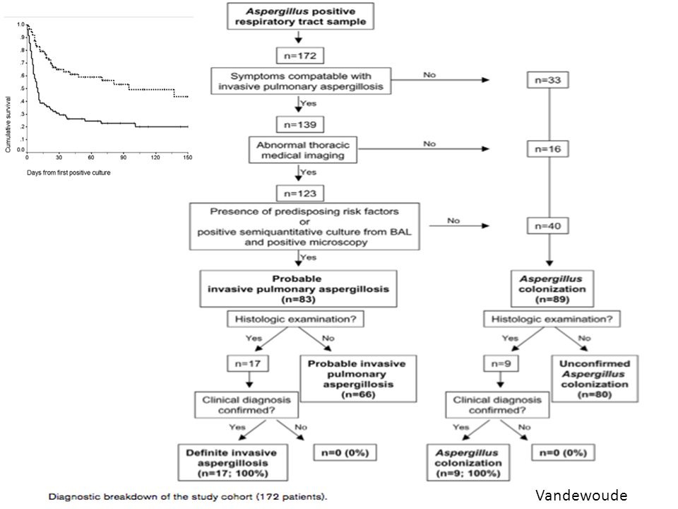 Algorithm developed by Vanderwoude et al for the diagnosis of aspergillus infection in the ICU. The mortality is greater between infected patients when compared with colonized patients
