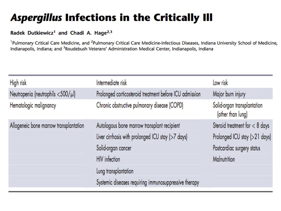 Risk factors for the development of Aspergillus infection.