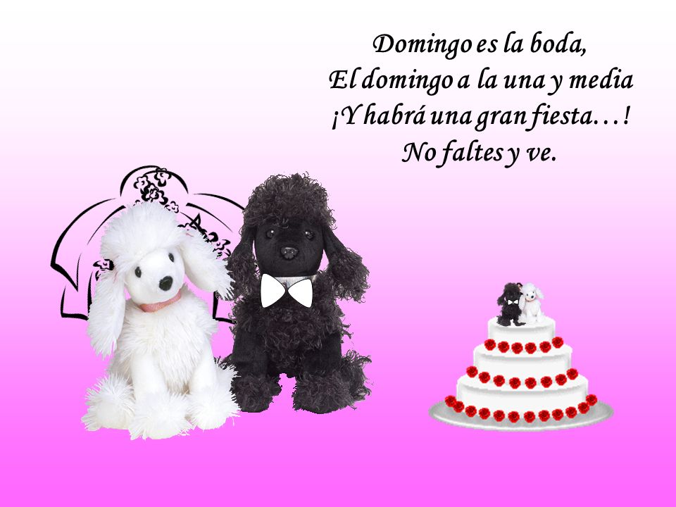 El domingo a la una y media ¡Y habrá una gran fiesta…!