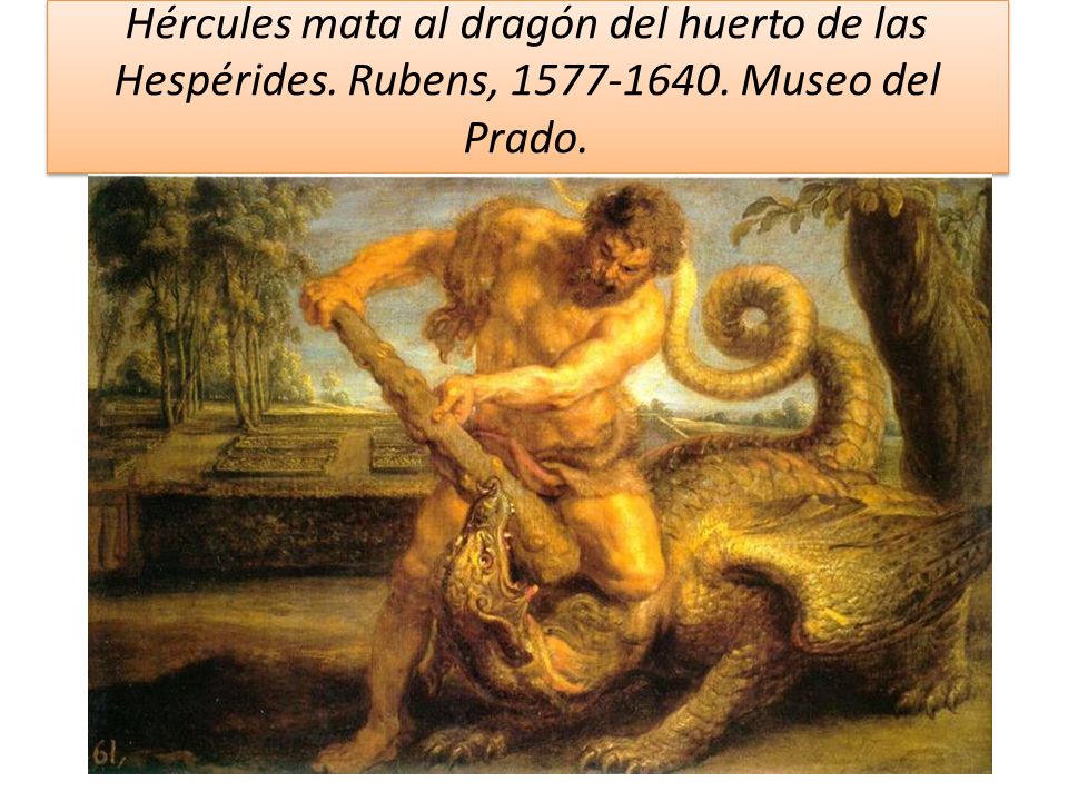 Hércules mata al dragón del huerto de las Hespérides. Rubens, Museo del Prado.