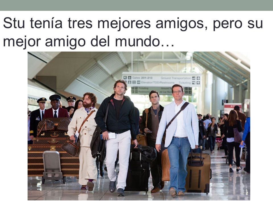 Stu tenía tres mejores amigos, pero su mejor amigo del mundo…