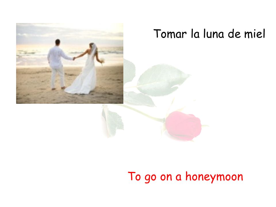 Tomar la luna de miel To go on a honeymoon