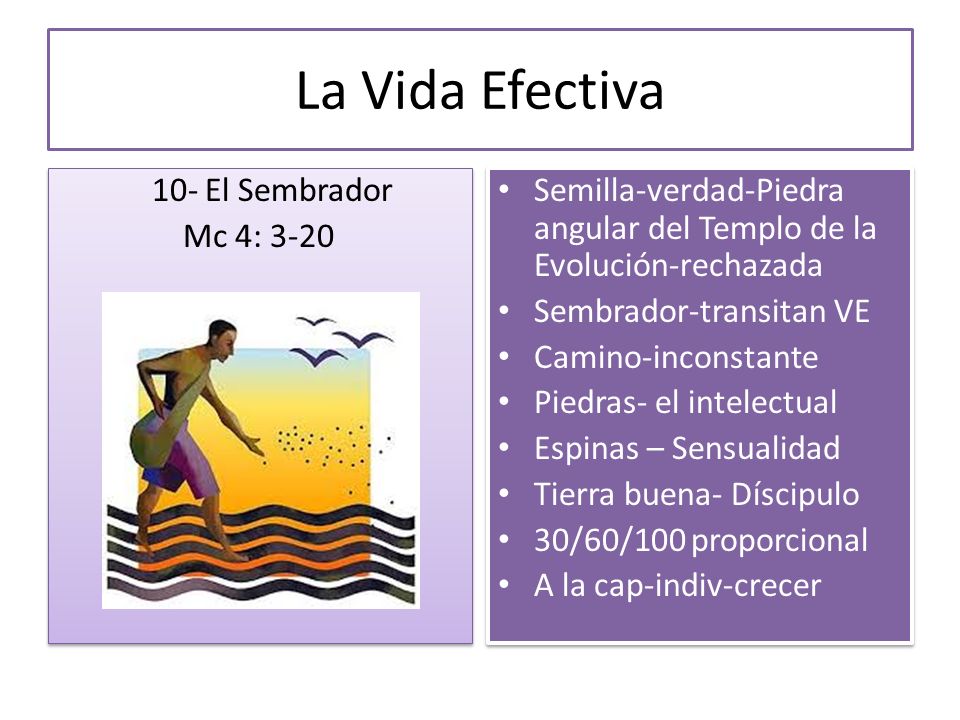 La Vida Efectiva 10- El Sembrador Mc 4: 3-20