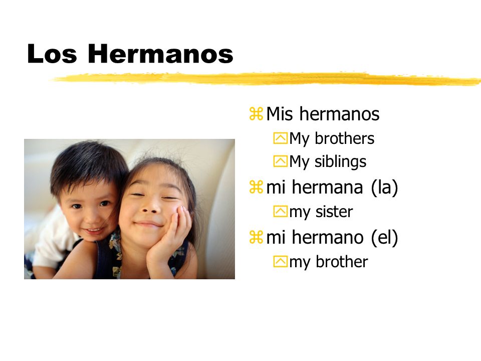 Los Hermanos Mis hermanos mi hermana (la) mi hermano (el) My brothers