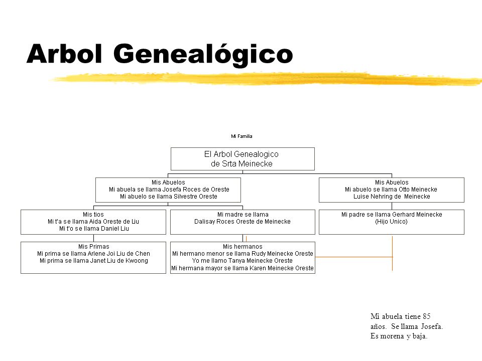 Arbol Genealógico Mi abuela tiene 85 años. Se llama Josefa. Es morena y baja.
