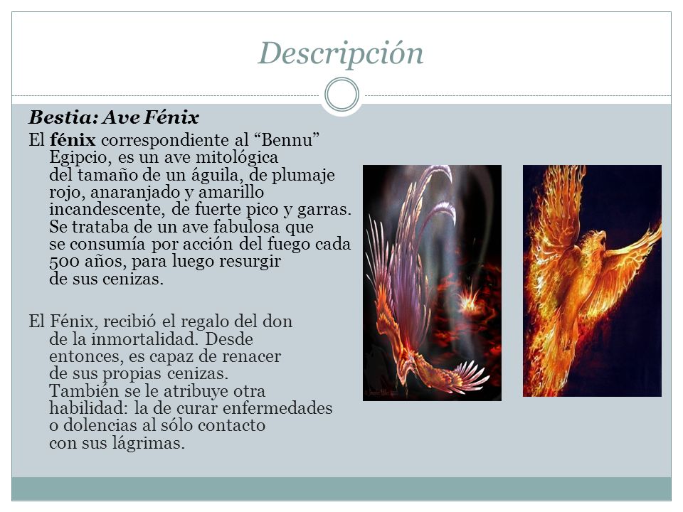 Descripción Bestia: Ave Fénix